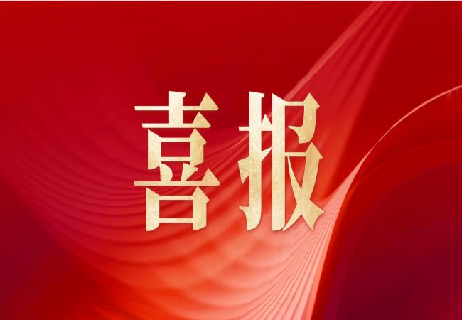 轴研所乐成入选2024年河南省质量标杆名单